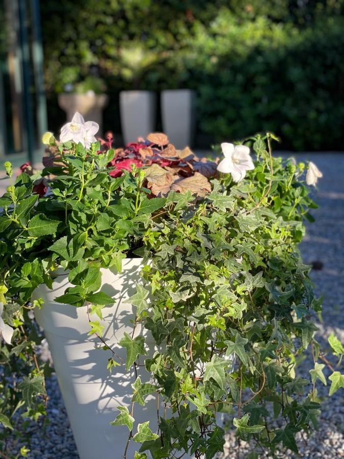 Hotel B&B Des Bains 밀라노마리티마 외부 사진